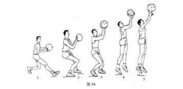 业余篮球运动员如何结合瑜伽提升技能_2